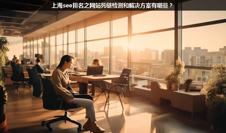 上海seo排名之網(wǎng)站死鏈檢測和解決方案有哪些？