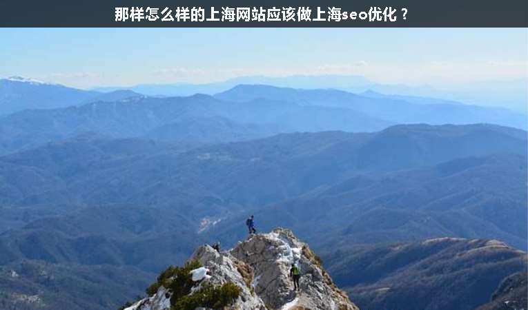 那樣怎么樣的上海網(wǎng)站應該做上海seo優(yōu)化？