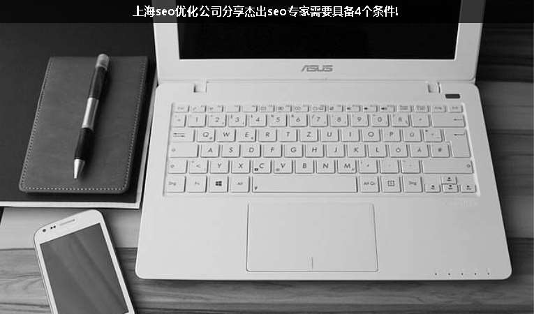 上海seo優(yōu)化公司分享杰出seo專(zhuān)家需要具備4個(gè)條件!