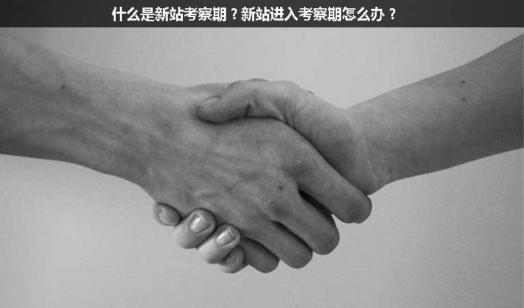什么是新站考察期？新站進(jìn)入考察期怎么辦？