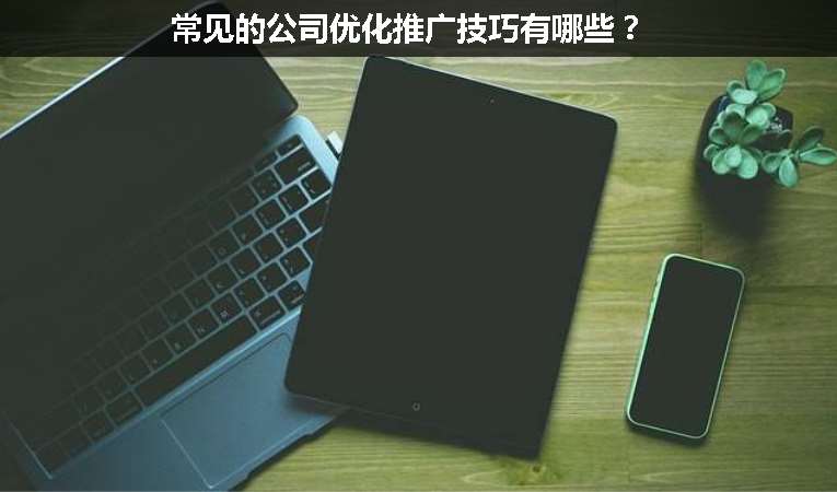 常見的公司優(yōu)化推廣技巧有哪些？