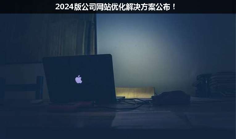 2024版公司網(wǎng)站優(yōu)化解決方案公布！