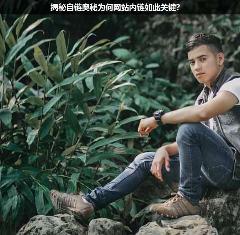 揭秘自鏈奧秘為何網(wǎng)站內(nèi)鏈如此關(guān)鍵？