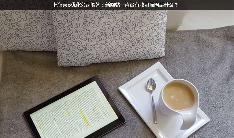 上海seo優(yōu)化公司解答：新網(wǎng)站一直沒有收錄原因是什么？